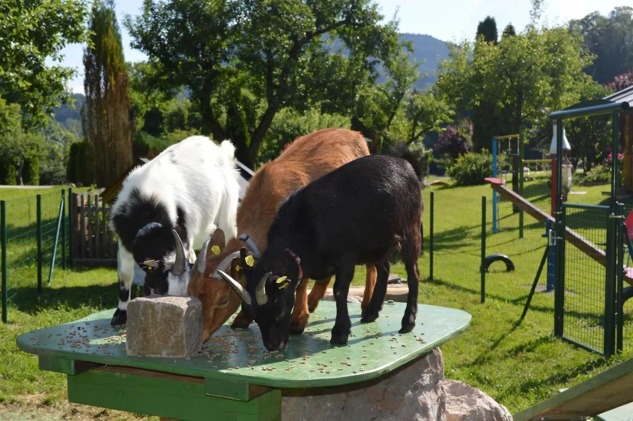 Ferienwohnungen Kilianmuehle Berchtesgaden 0*,  Germany